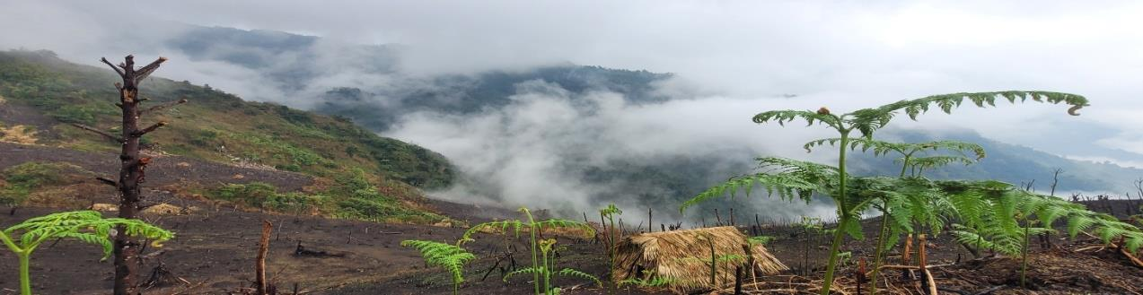 Shower in Patkai Hills