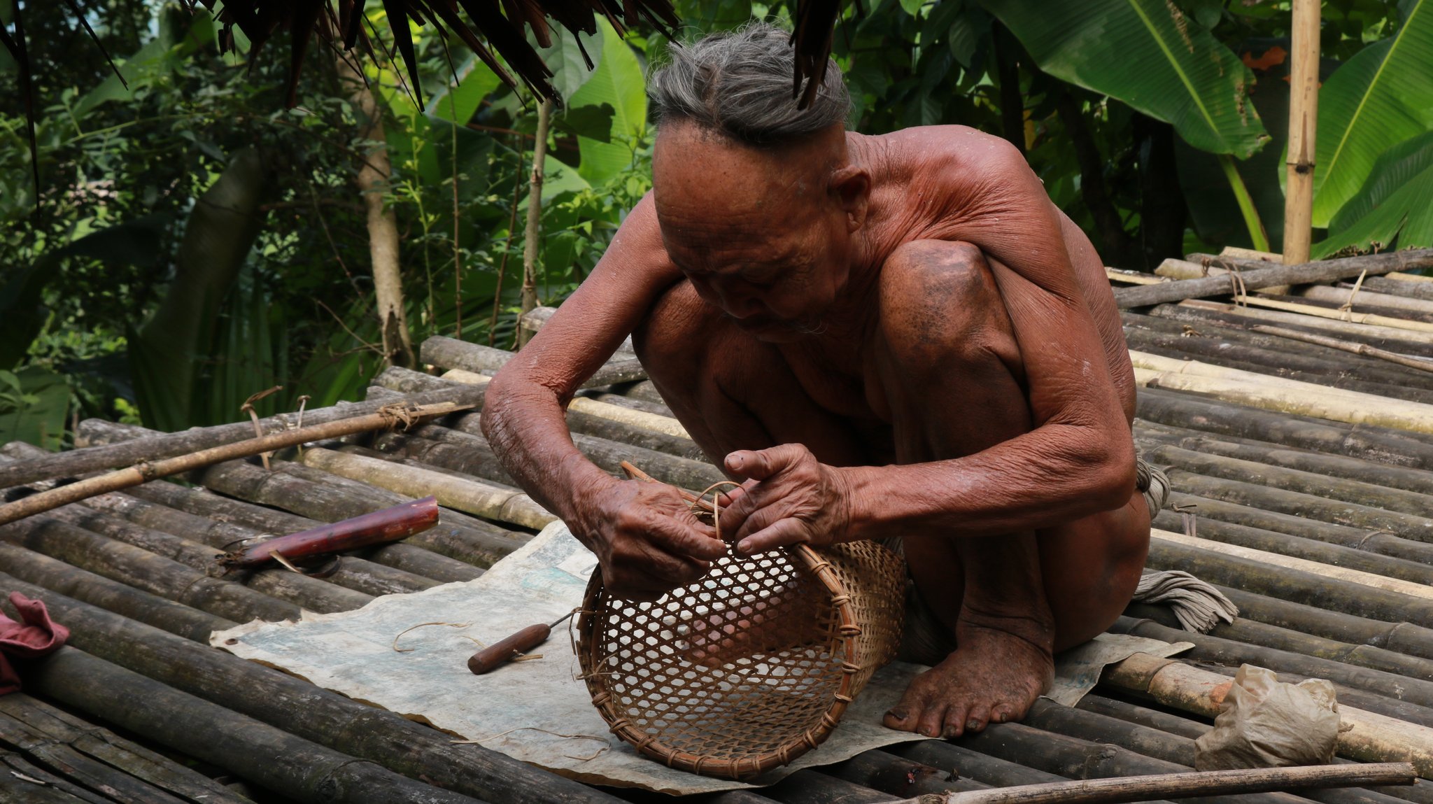 Patkai foothills and forested valleys of Tirap