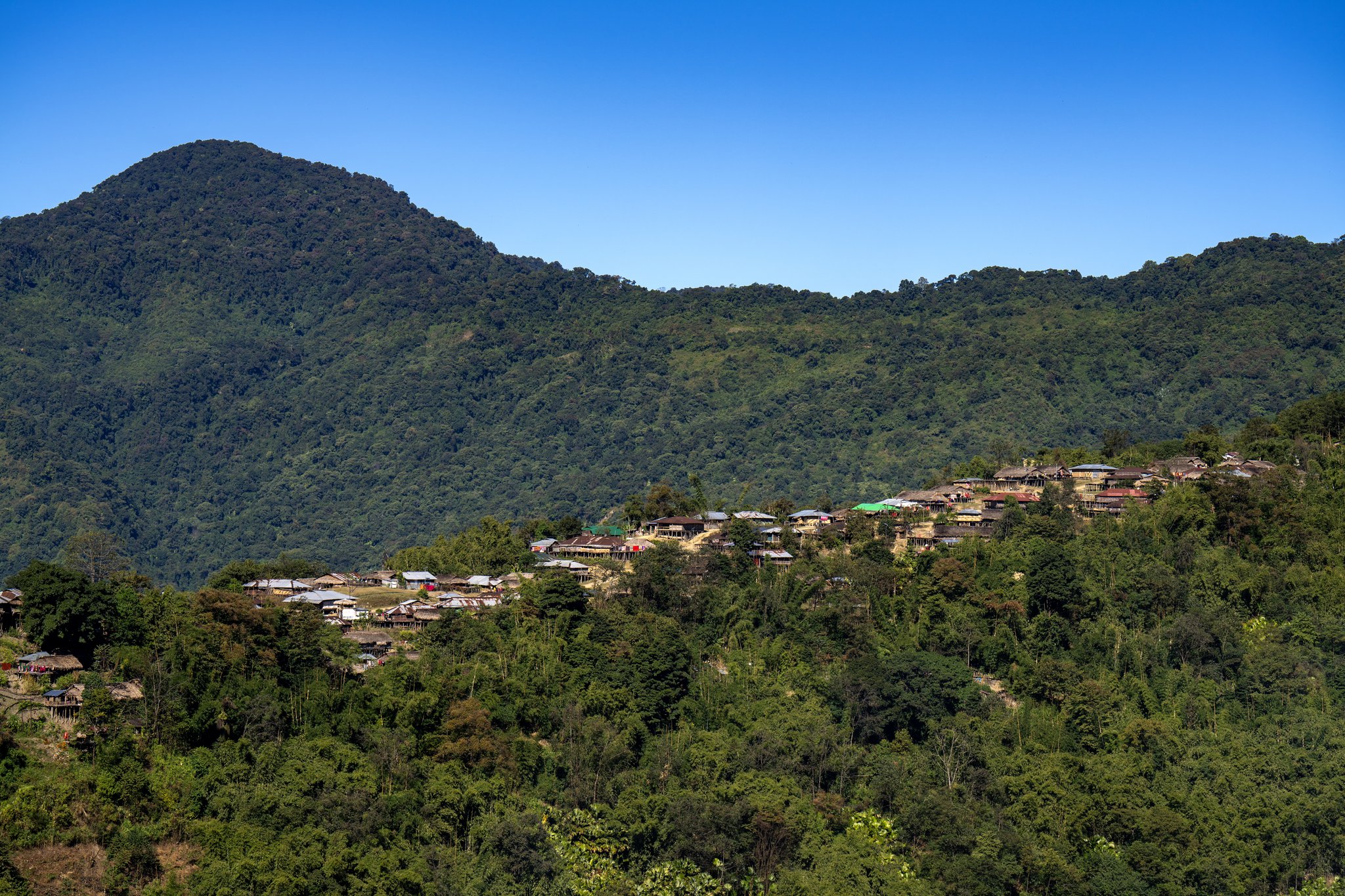Patkai hills mist and forest